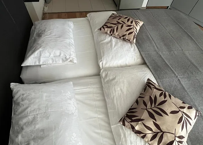 Hotel Apart-hotelzimmer Mit Bergblick In